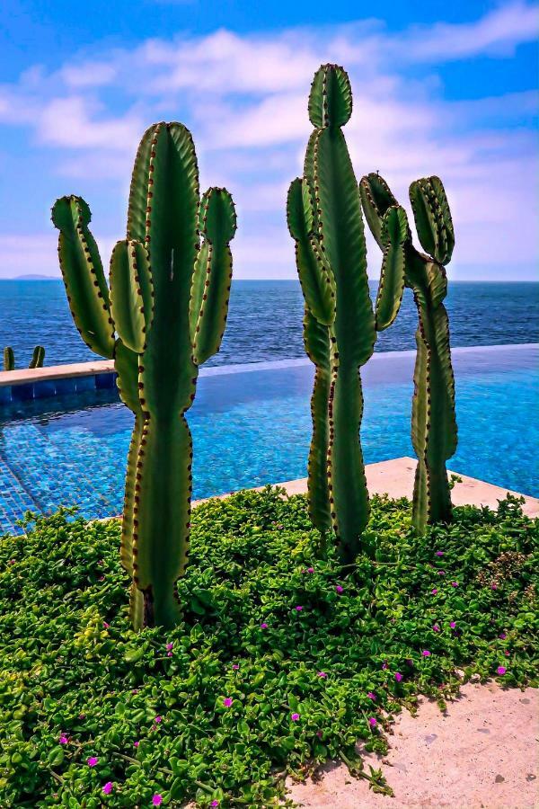 Hotel Casa Natalie Ensenada Exteriér fotografie